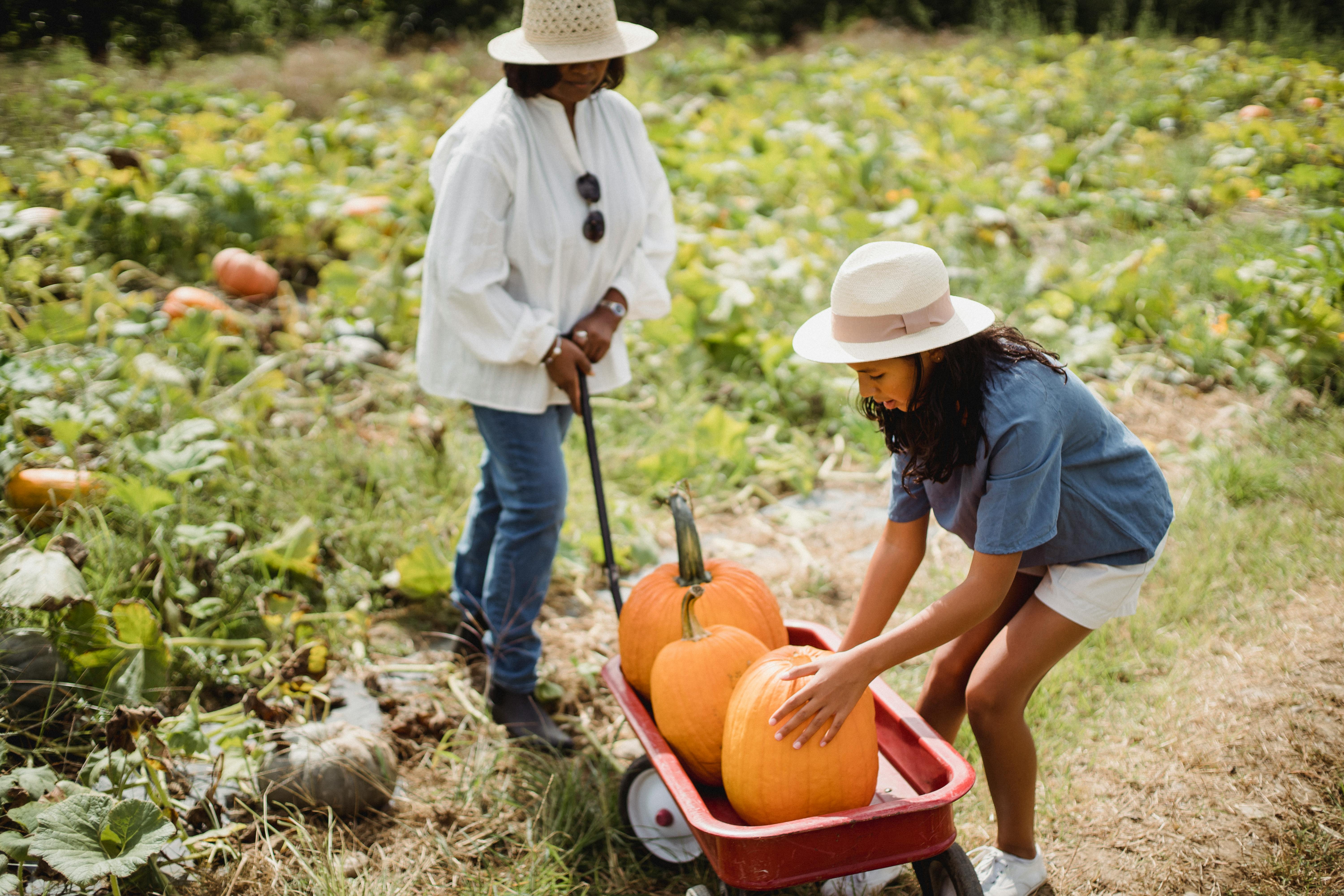Photo by Zen Chung: https://www.pexels.com/photo/woman-with-daughter-harvesting-pumpkins-in-field-5528932/